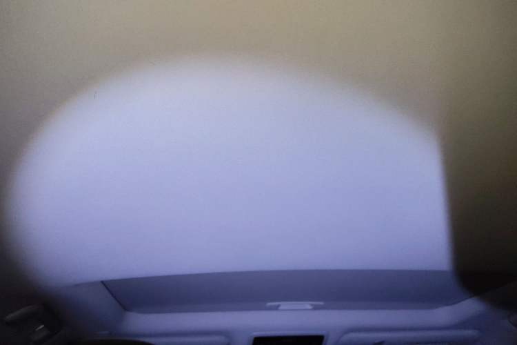 Used Lexus RX 2020 Revised Version 300 Two-Wheel Drive Elite Edition Headliner