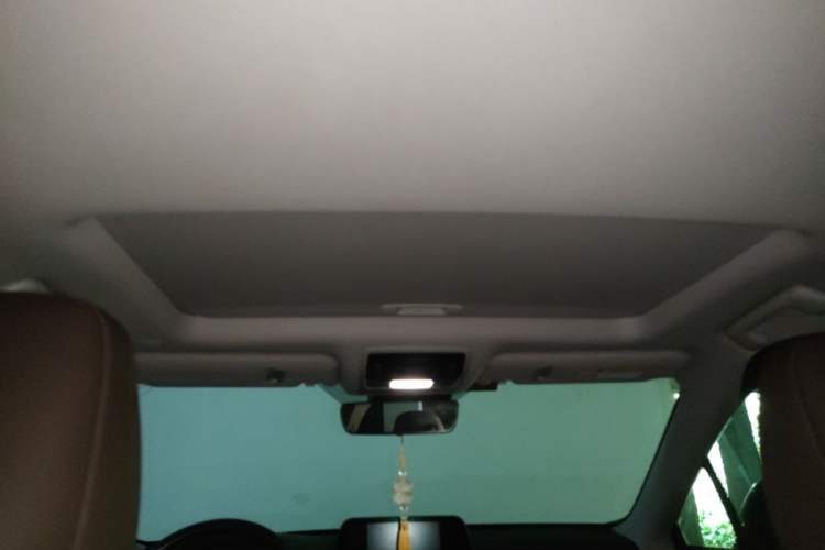 Used Lexus RX 2020 450h Four-Wheel Drive Elegant Edition China VI Standard Headliner