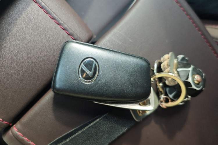 Used Lexus RX 2020 300 4x4 Elegant Edition China VI Interior 1