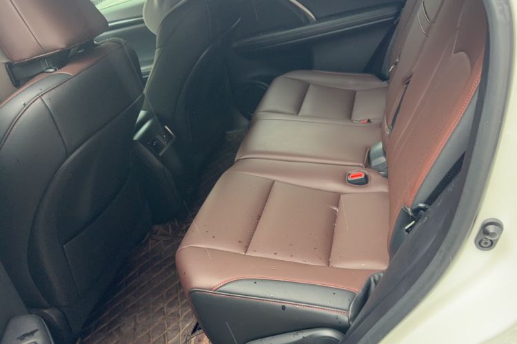 Used Lexus RX 2020 Revised Version 300 Two-Wheel Drive Comfort Edition Interior 2