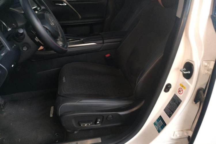 Used Lexus RX 2020 300 Two-Wheel Drive Elite Version China V Standard Left Front Seat