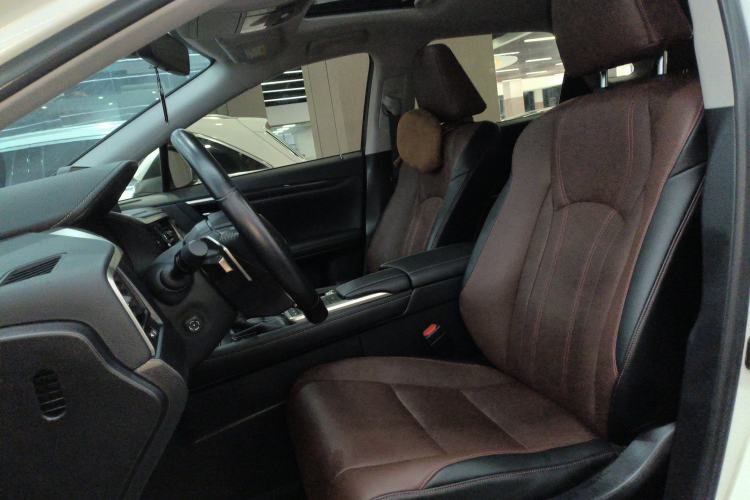 Used Lexus RX 2020 300 Two-Wheel Drive Elite Edition China VI Standard Left Front Seat