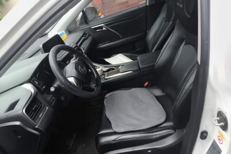 Used Lexus RX 2020 300 Two-Wheel Drive Elite Edition China VI Standard Left Front Seat