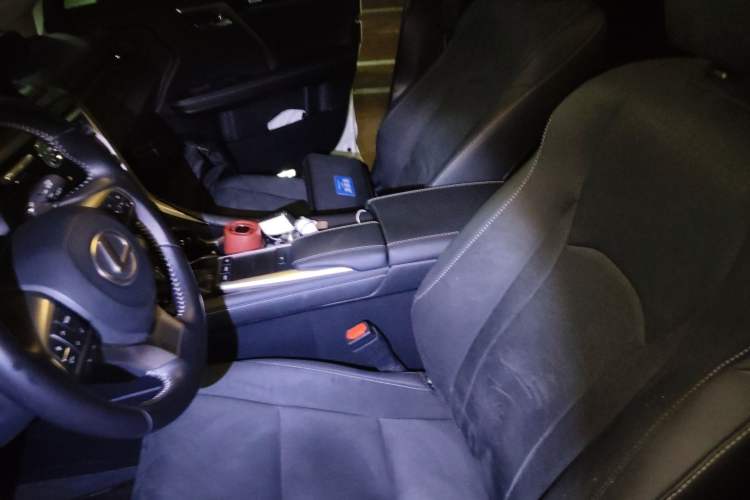 Used Lexus RX 2020 Revised Version 300 Two-Wheel Drive Elite Edition Left Front Seat