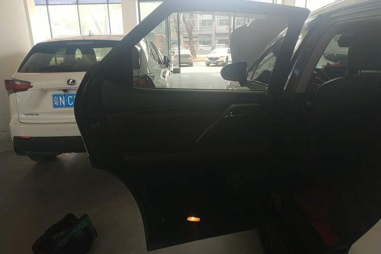 Used Lexus RX 2020 Revised Version 300 Two-Wheel Drive Comfort Edition Left Rear Door Interior