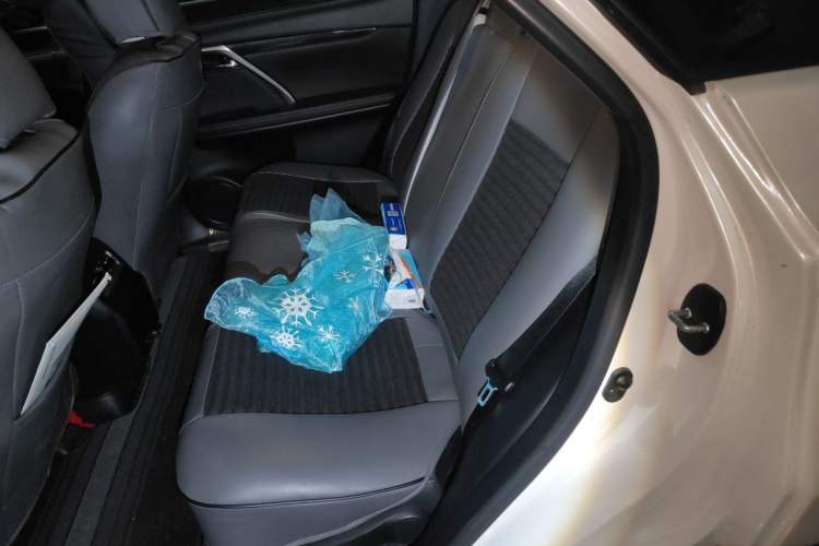 Used Lexus RX 2020 Revised Version 300 Two-Wheel Drive Elite Edition Left Rear Seat