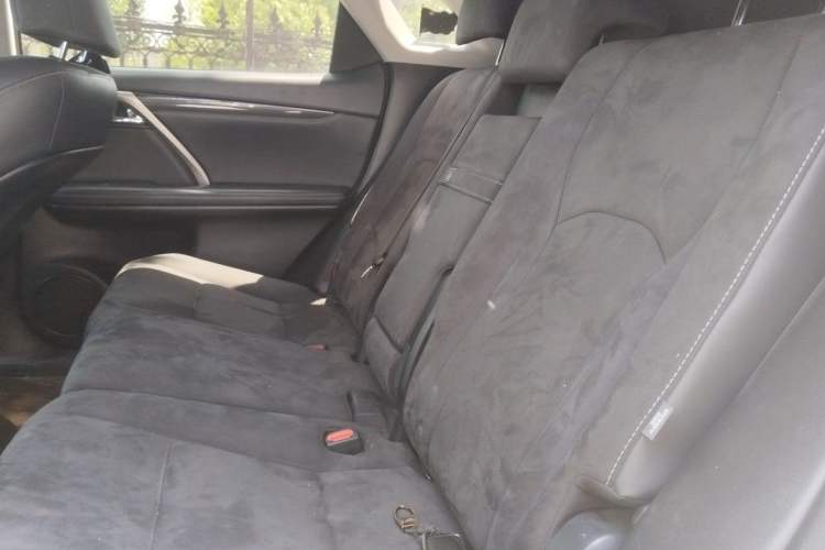 Used Lexus RX 2020 Revised Version 300 Two-Wheel Drive Elite Edition Left Rear Seat