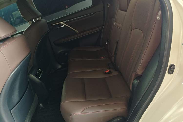 Used Lexus RX 2020 Facelifted 300 4x4 Elegant Edition Left Rear Seat