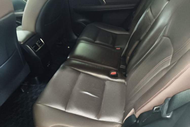 Used Lexus RX 2020 300 4x4 Elegant Edition China VI Left Rear Seat