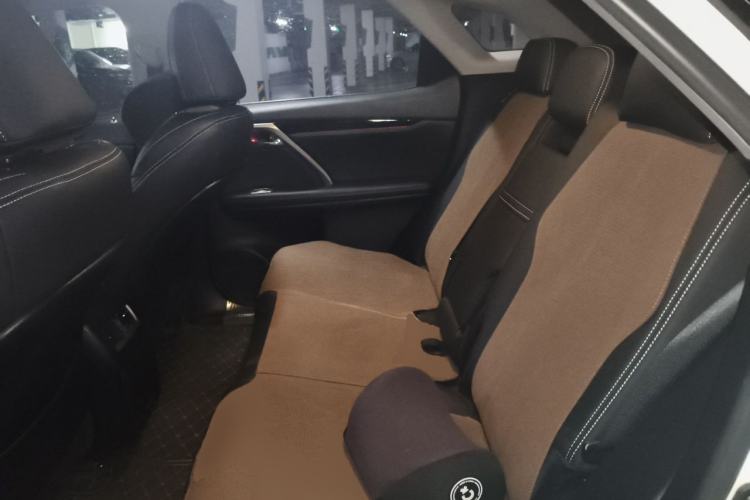Used Lexus RX 2020 Revised Version 300 Two-Wheel Drive Elite Edition Left Rear Seat