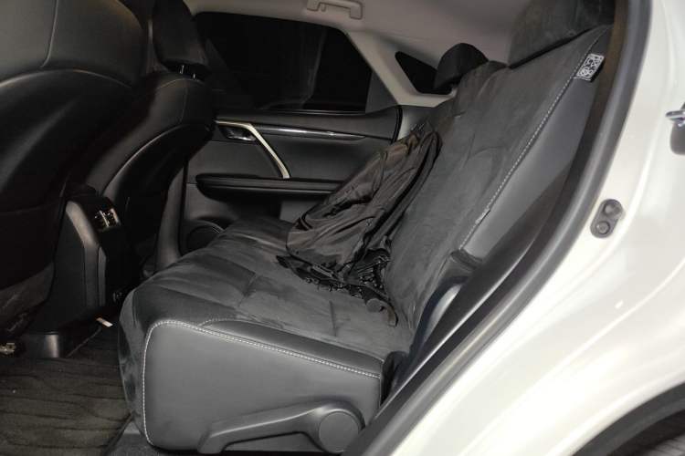 Used Lexus RX 2020 Revised Version 300 Two-Wheel Drive Elite Edition Left Rear Seat