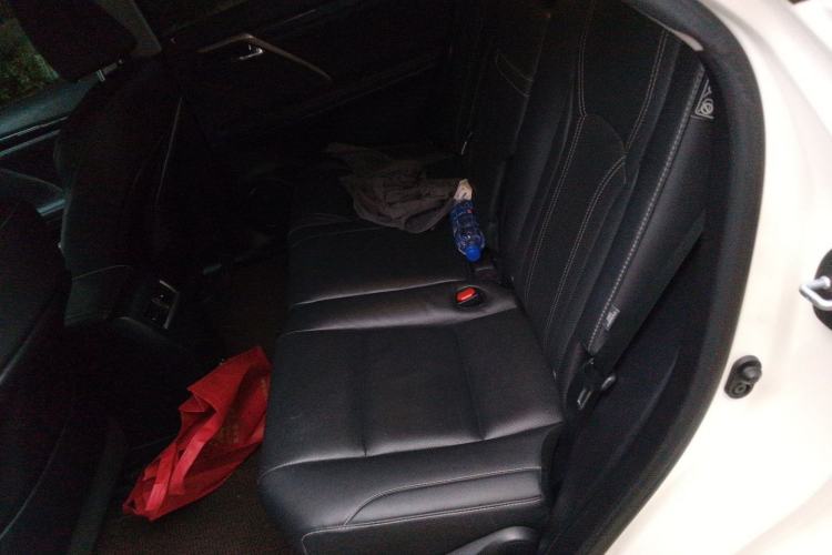 Used Lexus RX 2020 Facelifted 300 4x4 Elegant Edition Left Rear Seat