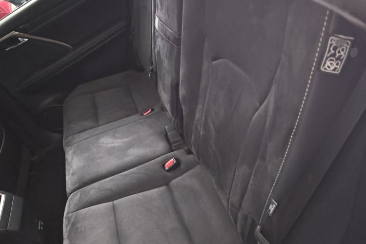 Used Lexus RX 2020 Revised Version 300 Two-Wheel Drive Elite Edition Left Rear Seat