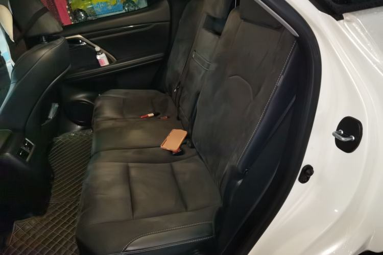 Used Lexus RX 2020 300 Two-Wheel Drive Elite Edition China VI Standard Left Rear Seat