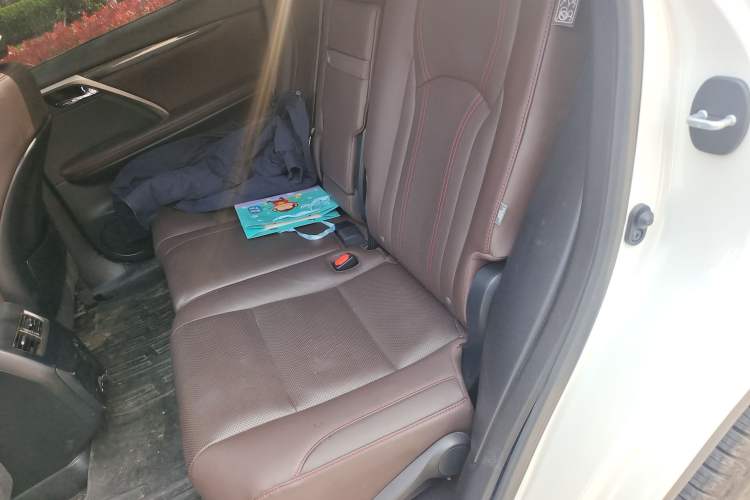 Used Lexus RX 2020 Facelifted 300 4x4 Elegant Edition Left Rear Seat