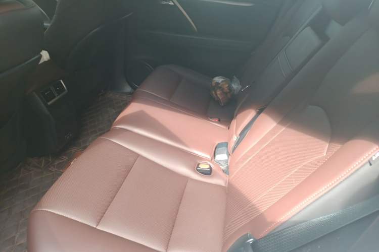 Used Lexus RX 2020 Revised Version 300 Two-Wheel Drive Comfort Edition Left Rear Seat