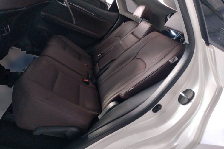 Used Lexus RX 2020 Facelifted 300 4x4 Elegant Edition Left Rear Seat