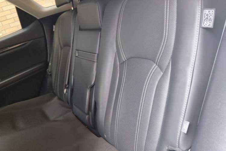 Used Lexus RX 2020 Revised Version 300 Two-Wheel Drive Comfort Edition Left Rear Seat