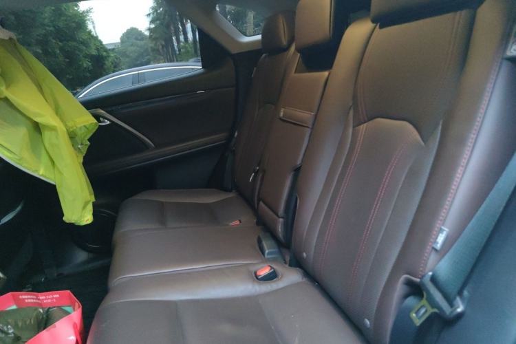 Used Lexus RX 2020 Facelifted 300 4x4 Elegant Edition Left Rear Seat
