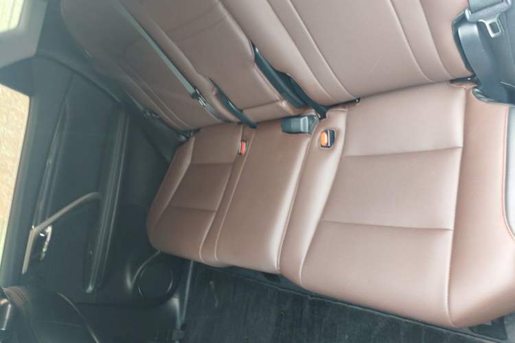 Used Lexus RX 2020 Revised Version 300 Two-Wheel Drive Comfort Edition Left Rear Seat