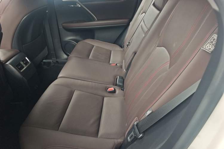 Used Lexus RX 2020 Revised Version 300 Two-Wheel Drive Comfort Edition Left Rear Seat