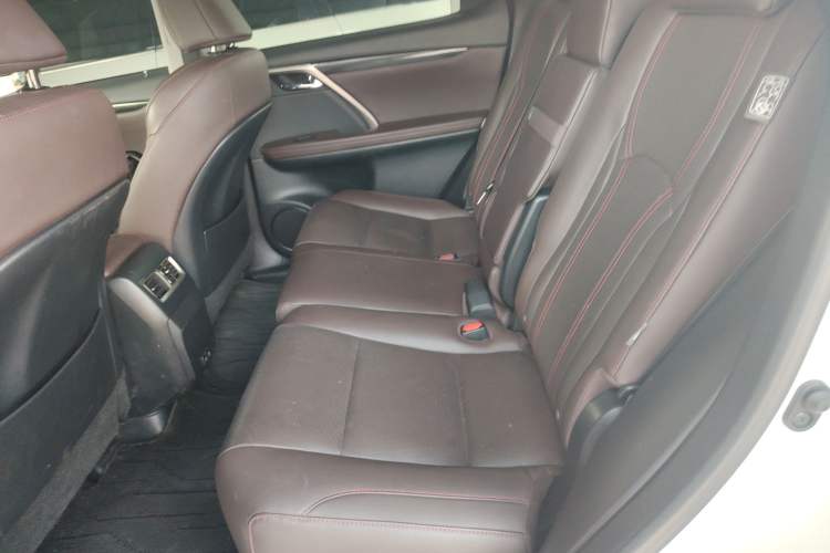 Used Lexus RX 2020 Revised Version 300 Two-Wheel Drive Comfort Edition Left Rear Seat