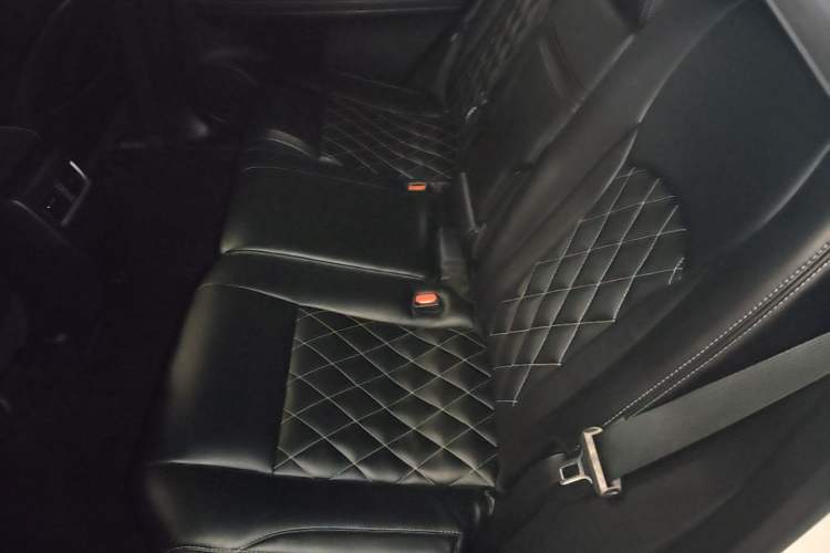 Used Lexus RX 2020 Revised Version 300 Two-Wheel Drive Elite Edition Left Rear Seat