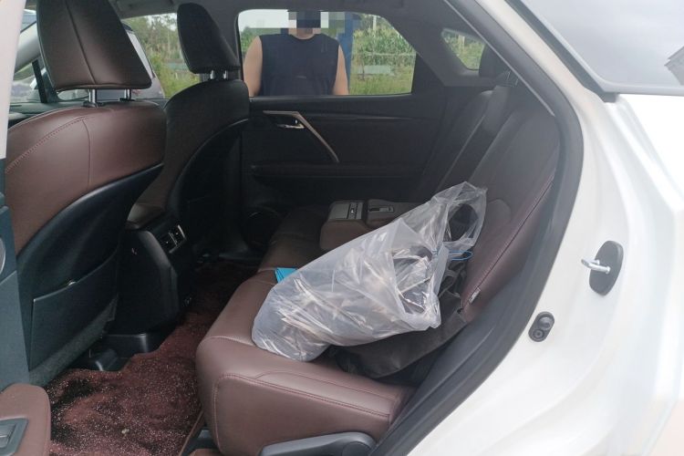 Used Lexus RX 2020 300 4x4 Elegant Edition China VI Left Rear Seat