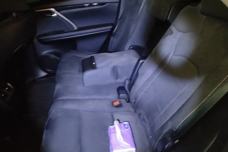 Used Lexus RX 2020 Revised Version 300 Two-Wheel Drive Elite Edition Left Rear Seat