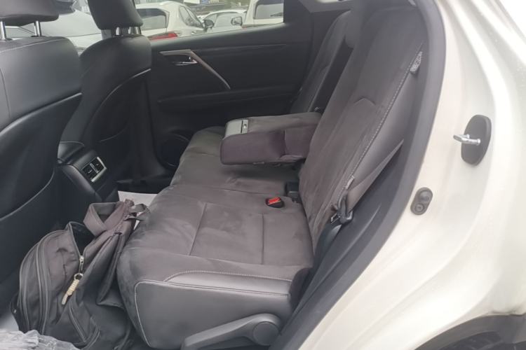 Used Lexus RX 2020 Revised Version 300 Two-Wheel Drive Elite Edition Left Rear Seat