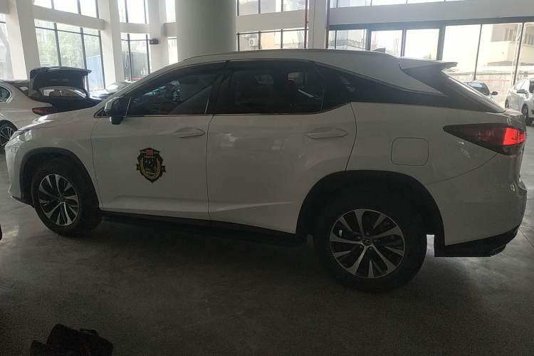 Used Lexus RX 2020 Revised Version 300 Two-Wheel Drive Comfort Edition Left Side