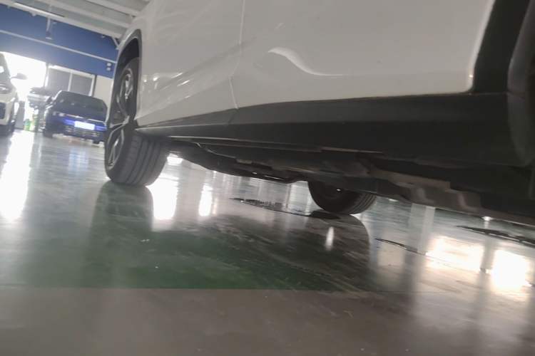 Used Lexus RX 2020 300 4x4 Elegant Edition China VI Left Side Sill