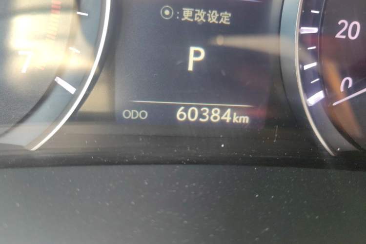 Used Lexus RX 2020 300 Two-Wheel Drive Elite Edition China VI Standard Odometer Close Up