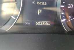 Thumbnail 13