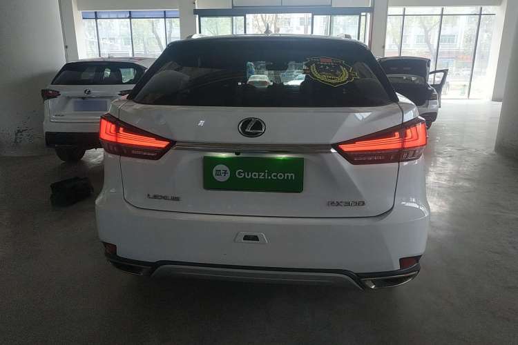 Used Lexus RX 2020 Revised Version 300 Two-Wheel Drive Comfort Edition Rear