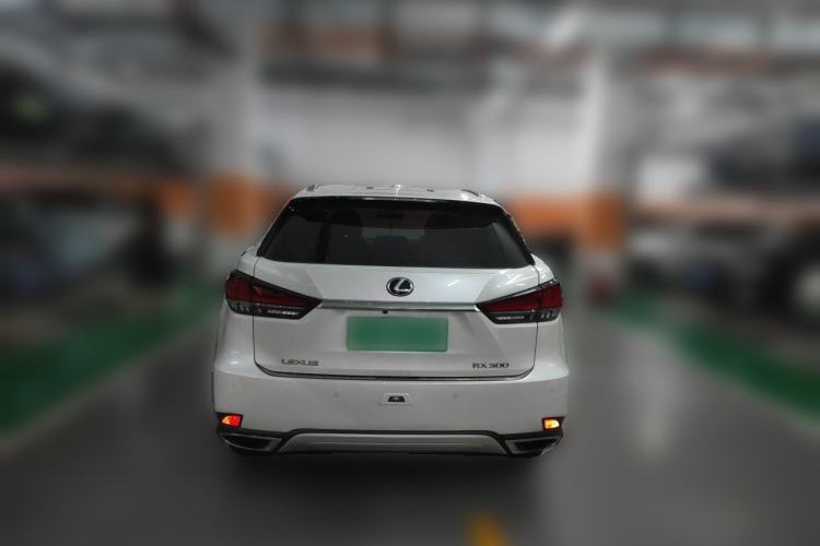 Used Lexus RX 2020 Revised Version 300 Two-Wheel Drive Elite Edition Rear