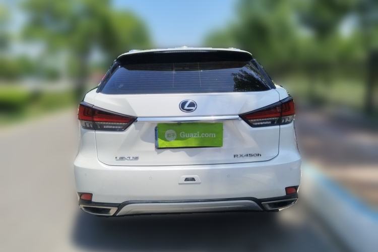 Used Lexus RX 2020 Revised Version 300 Two-Wheel Drive Elite Edition Rear