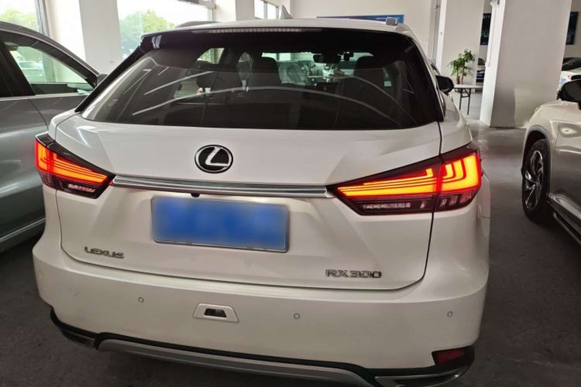 Used Lexus RX 2020 Revised Version 300 Two-Wheel Drive Comfort Edition Rear