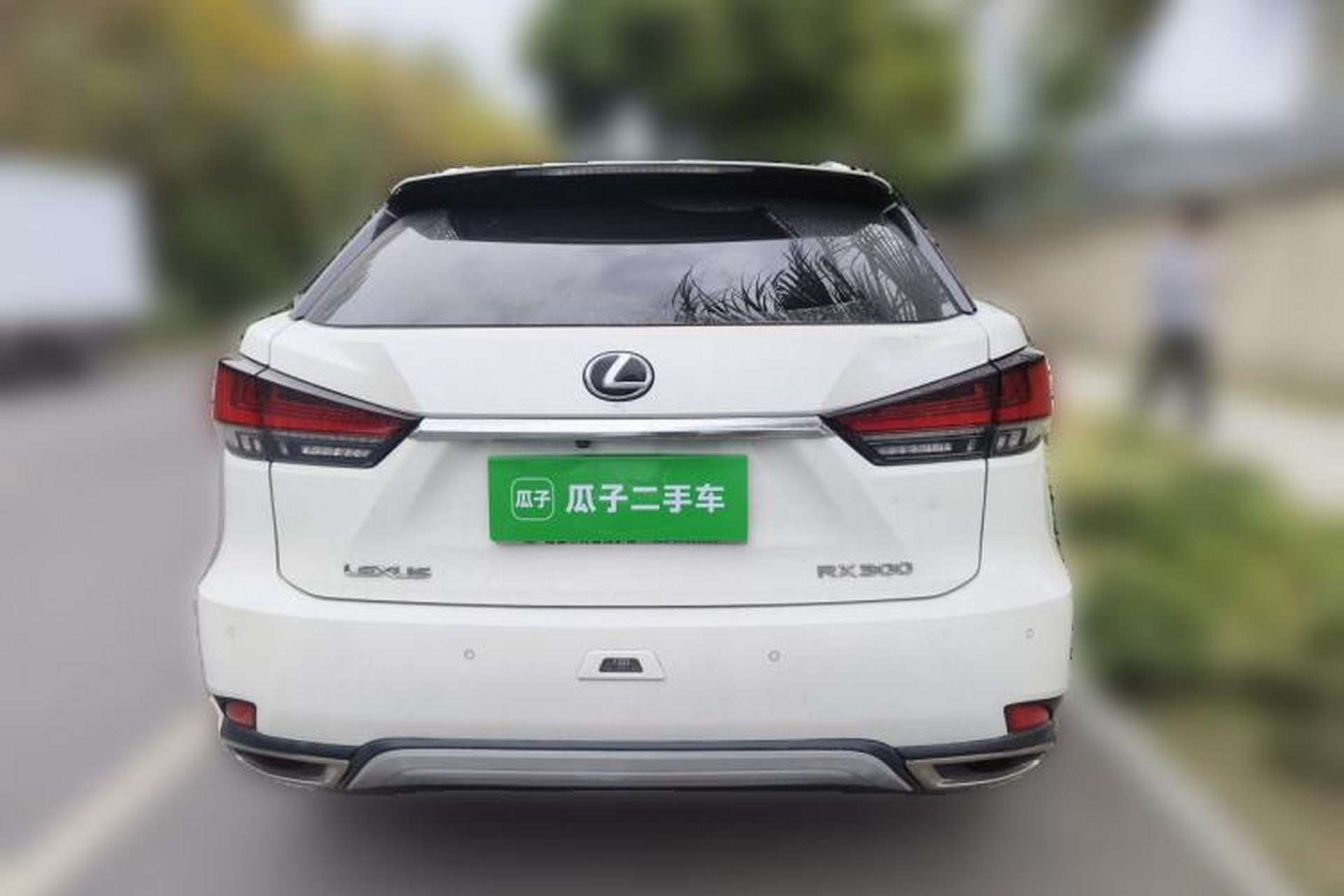 Used Lexus RX 2020 Facelifted 300 4x4 Elegant Edition Rear