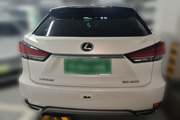 Used Lexus RX 2020 Facelifted 300 4x4 Elegant Edition Rear