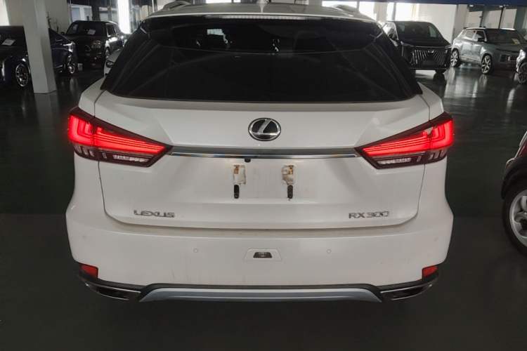 Used Lexus RX 2020 300 4x4 Elegant Edition China VI Rear