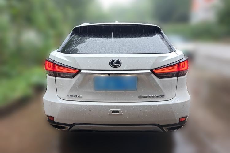 Used Lexus RX 2020 300 4x4 Elegant Edition China V Standard Rear