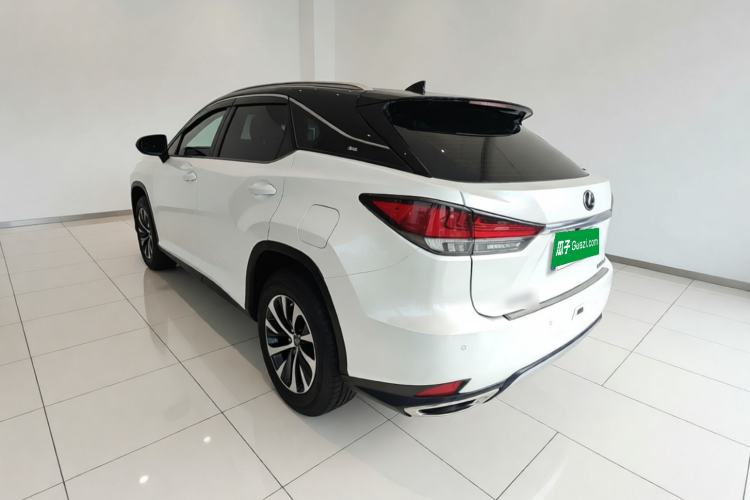 Used Lexus RX 2020 300 Two-Wheel Drive Elite Edition China VI Standard Rear Left 45 Deg