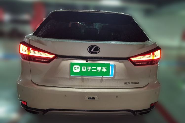 Used Lexus RX 2020 300 Two-Wheel Drive Elite Edition China VI Standard Rear