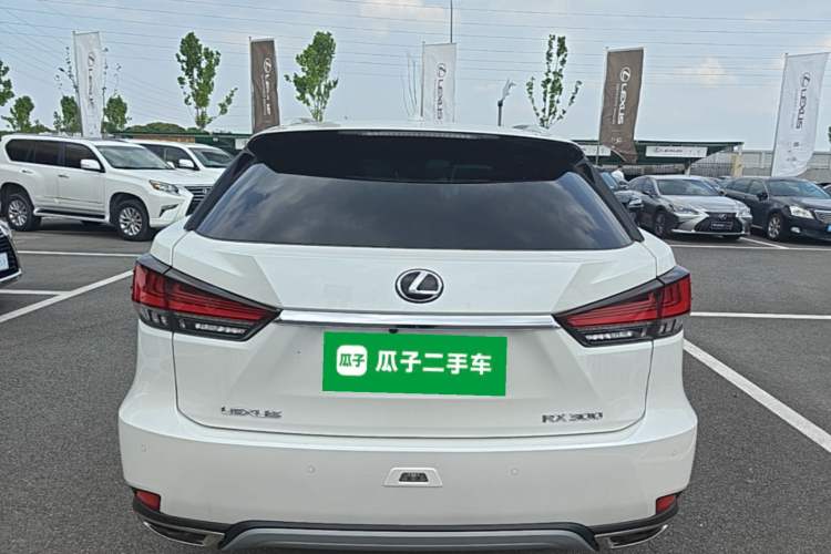 Used Lexus RX 2020 Facelifted 300 4x4 Elegant Edition Rear