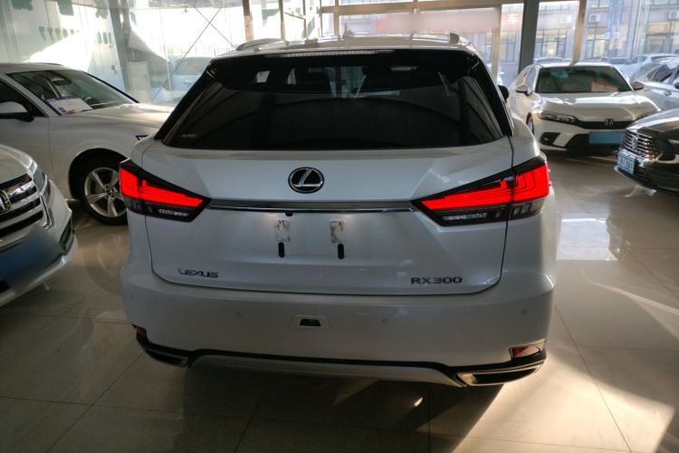 Used Lexus RX 2020 Facelifted 300 4x4 Elegant Edition Rear