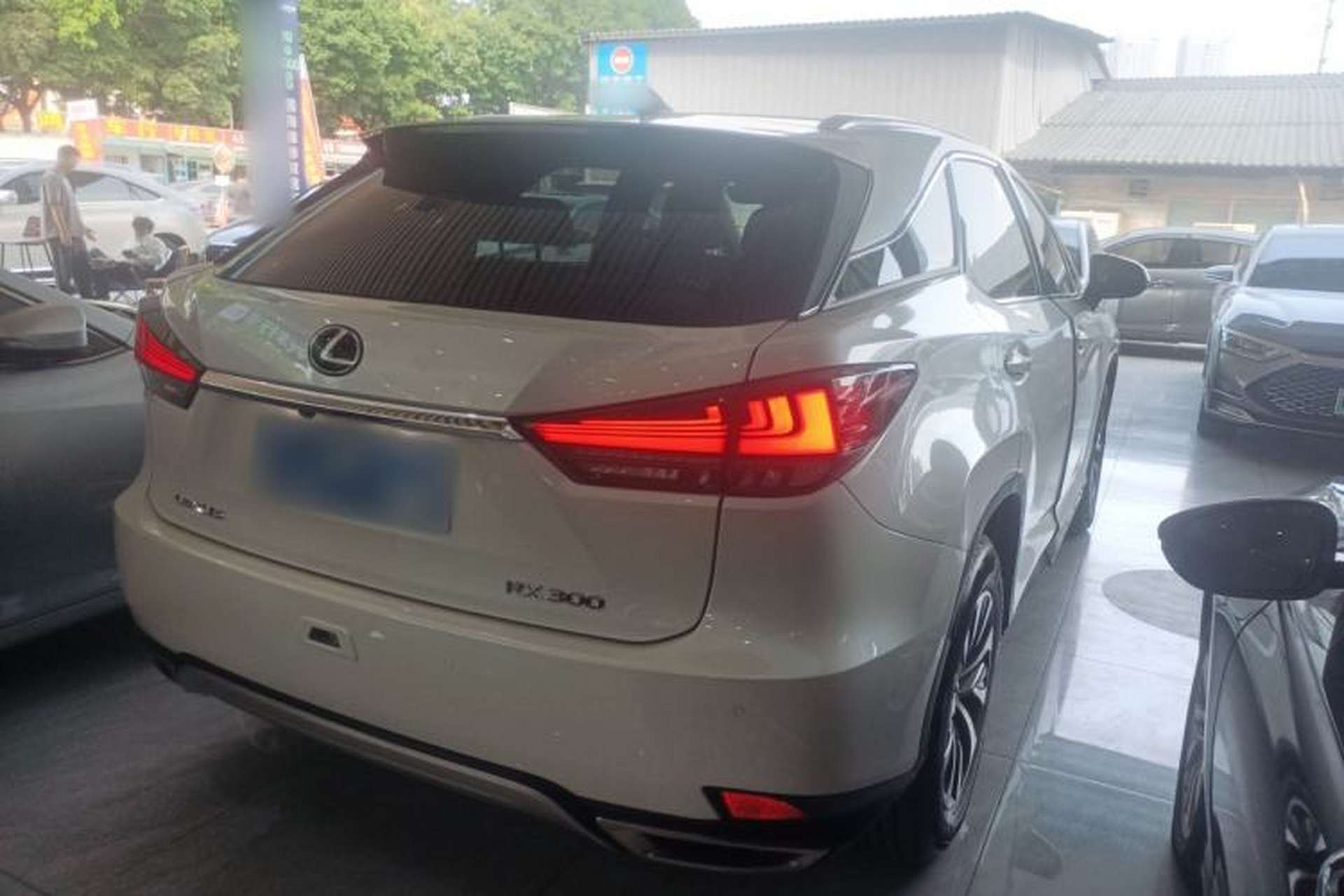 Used Lexus RX 2020 300 Two-Wheel Drive Elite Edition China VI Standard Rear Right 45 Deg