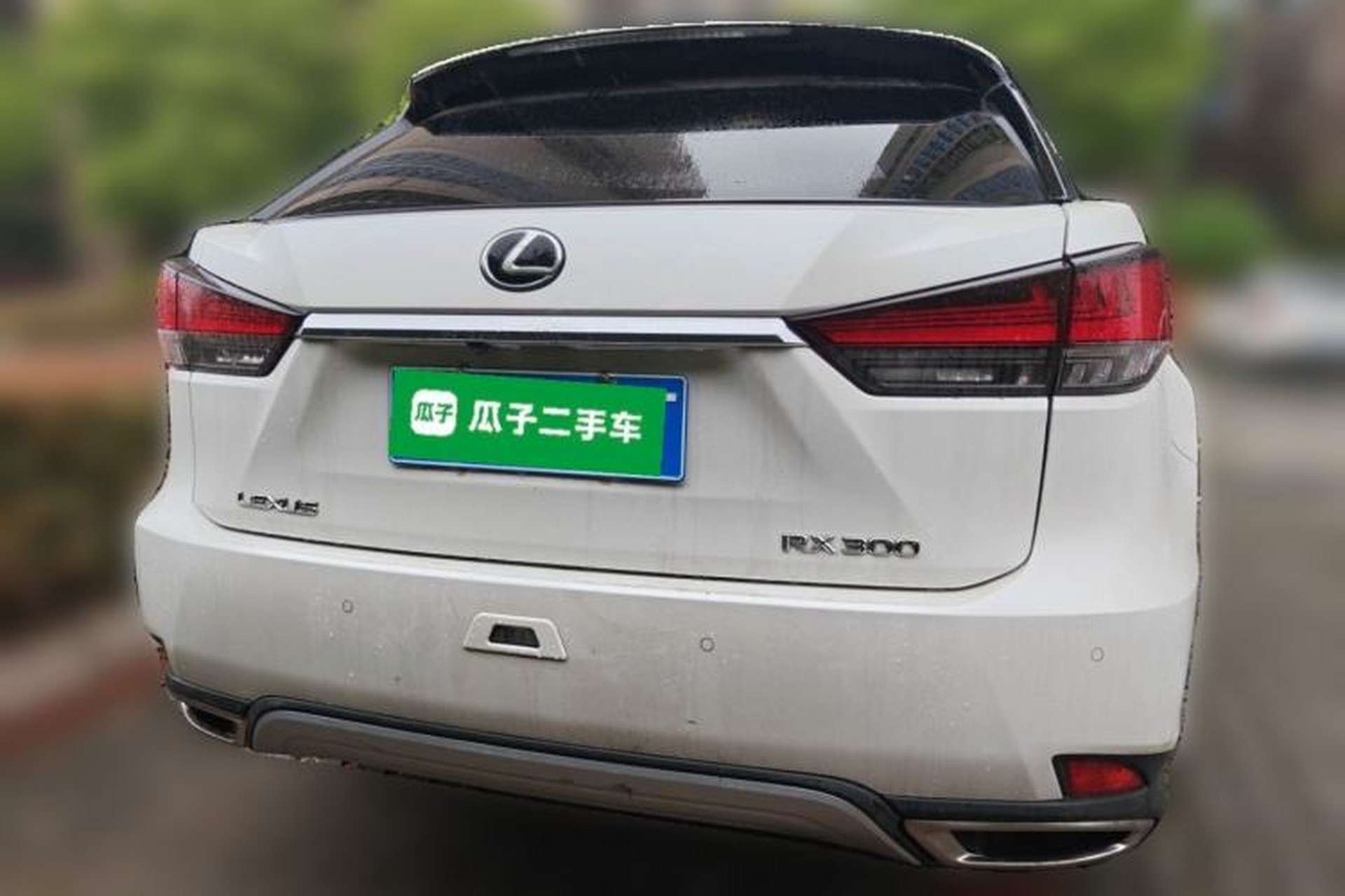 Used Lexus RX 2020 300 4x4 Elegant Edition China VI Rear