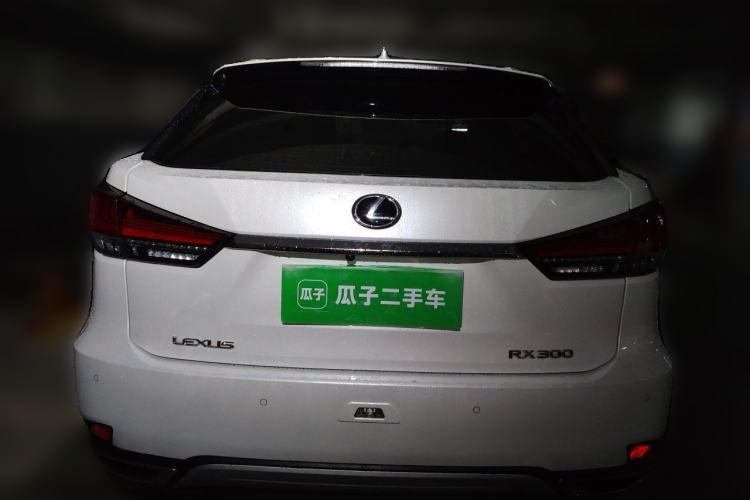 Used Lexus RX 2020 Revised Version 300 Two-Wheel Drive Comfort Edition Rear