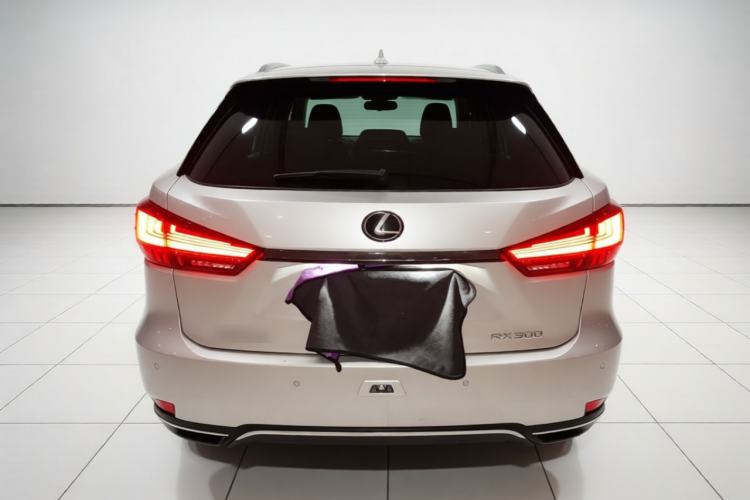 Used Lexus RX 2020 300 Two-Wheel Drive Comfort Edition China VI Standard Rear